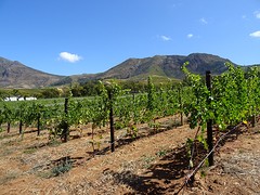DSC00057