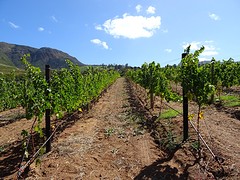 DSC00058