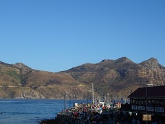 DSC00098