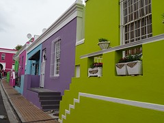 DSC00132