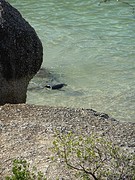 DSC00214