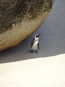 DSC00216