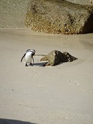 DSC00217