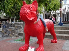 DSC00226