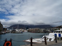 DSC00246