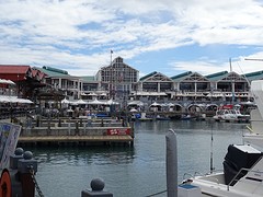 DSC00247