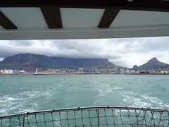 DSC00261