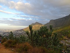 DSC00310