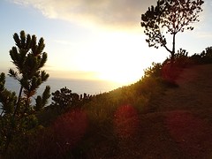 DSC00316