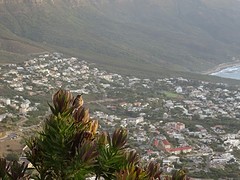 DSC00319