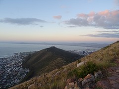 DSC00320