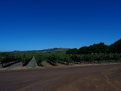 DSC00360