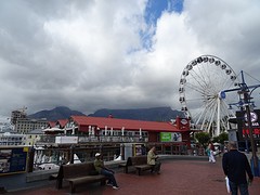 DSC00441