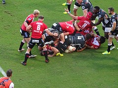 DSC00617