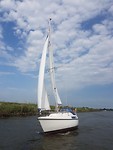 IMG_4666