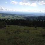 IMG_4709