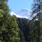 Junfrau/ Kleine Scheideg