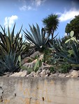 IMG_4817