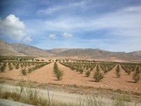 Onderweg naar Granada, we waanden ons even in Australië