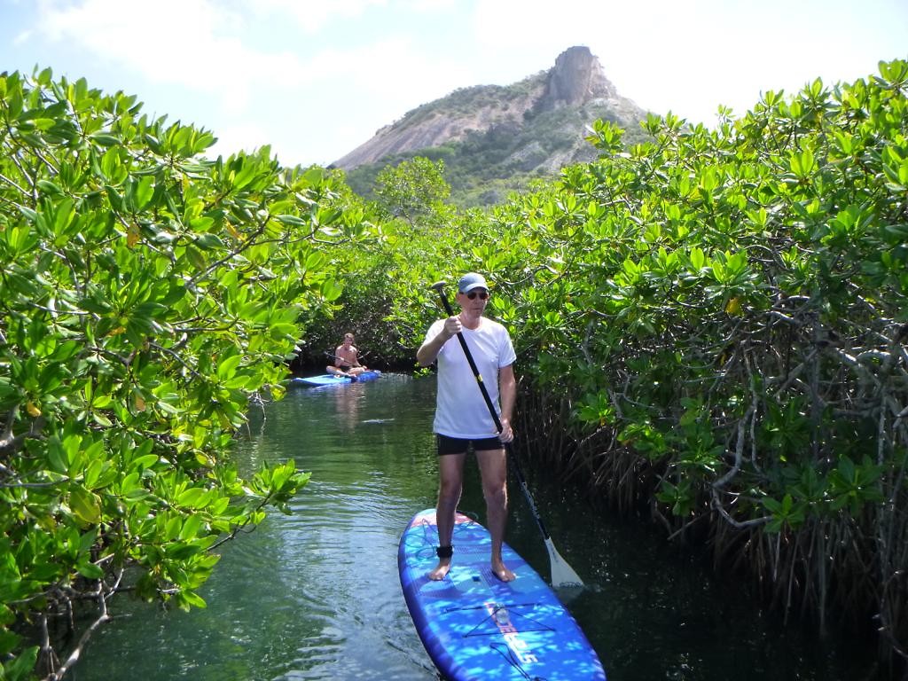 Mangrovebos