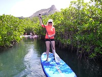 Mangrovebos