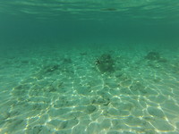 Onderwaterwereld