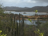 Washington-Slagbaai park