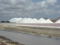 De zoutpannen met roze zoutmeer, zo mooi