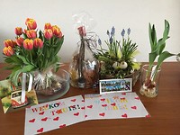 Alle moois bij elkaar!