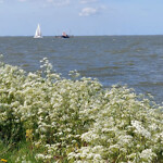 IMG_20220512_195920_773