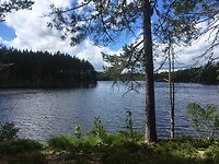 IMG-20220704-WA0001