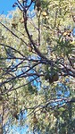 1000028348