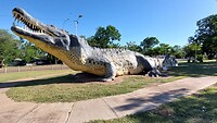 20250607_142256