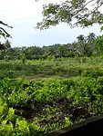 20190507_164823