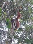 20190508_090722(0)