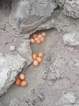 20190510_105816