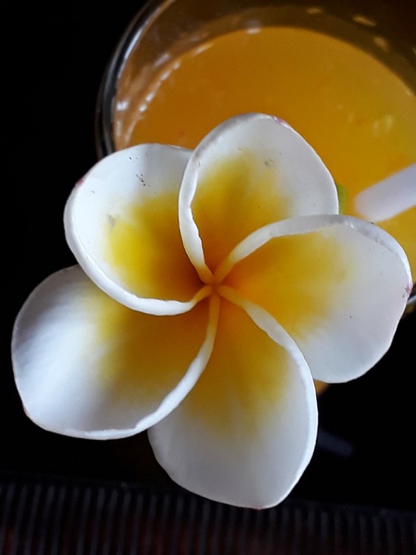 20190520_125919