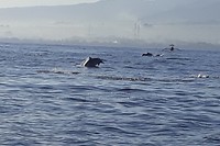 20190522_082609