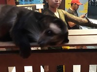 20190523_214247