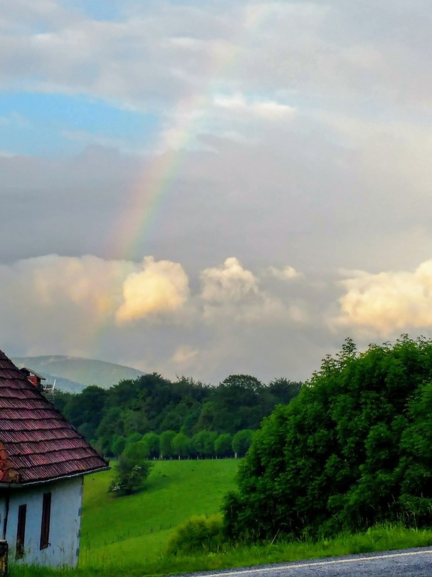 Looking for 🌈...