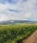 Die berg gaan we beklimmen
