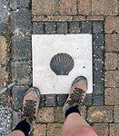 Oa schelpen op de straat