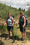 Samen onder de olijfboom