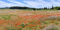20180615_130839_HDR~2