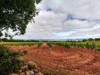 20180616_104809_HDR~2