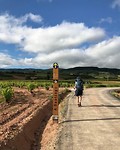 Backpacker