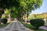 Prachtige boulevard