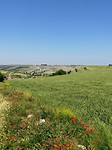 Stad in zicht