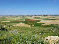 Jale vlakten, meseta