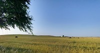 Lange wegen